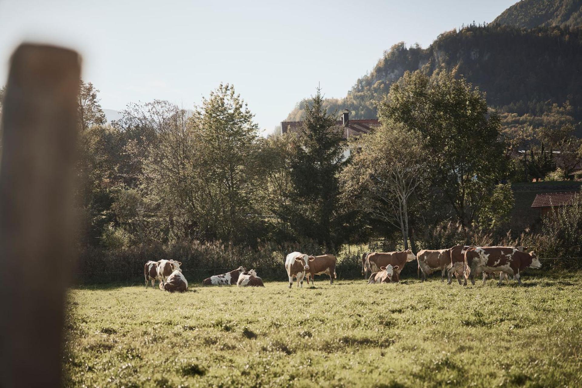 Rait'Ner Wirt Hotel Schleching Bagian luar foto