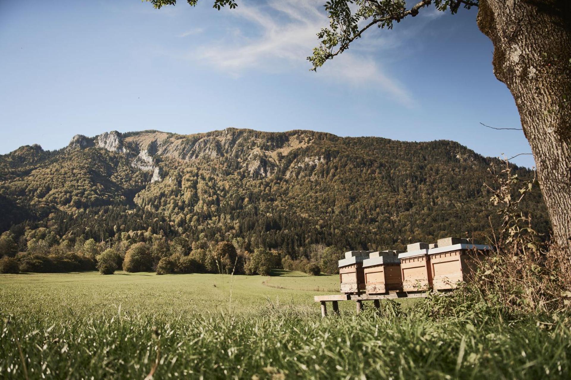Rait'Ner Wirt Hotel Schleching Bagian luar foto